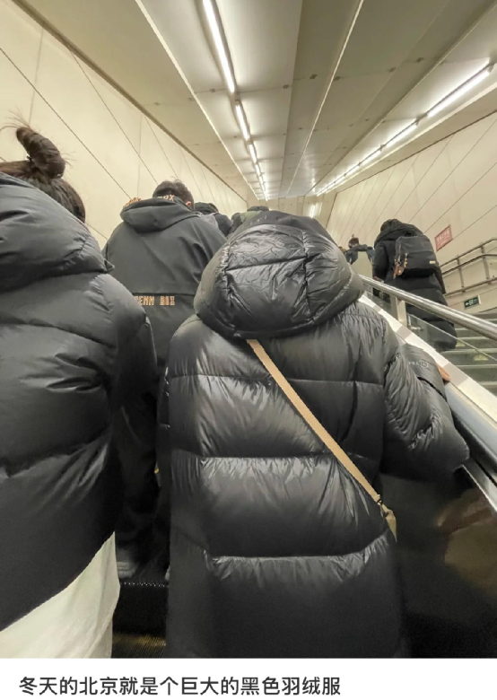 恩卓中盈 北京纯血打工人，为啥都有一件黑色羽绒服？